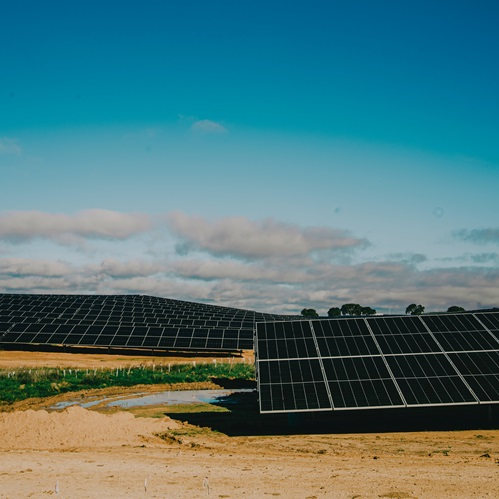 Affittare terreni per fotovoltaico Sai come fare